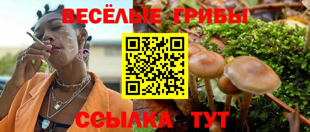 Псилоцибиновые грибы мухоморы  Псилоцибиновые грибы мицелий  Вход с VPN  Аргун 