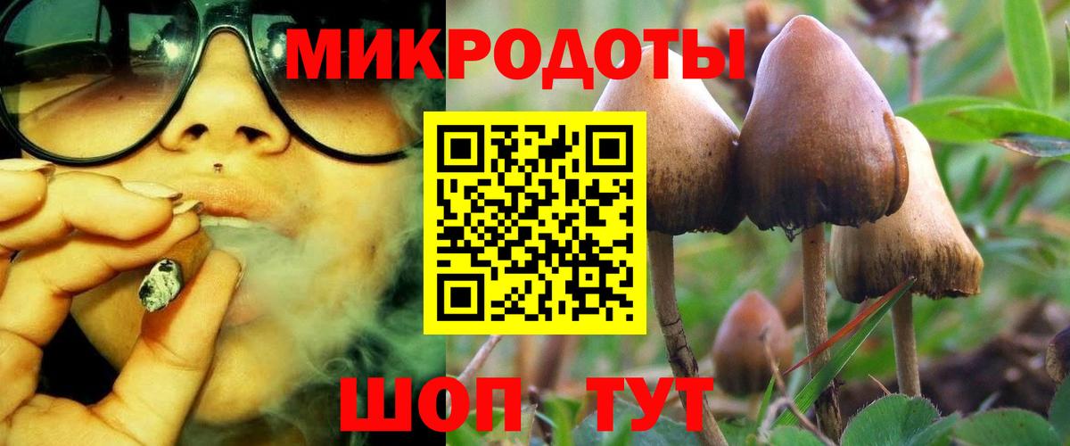 Галлюциногенные грибы Magic Shrooms Аргун